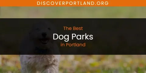 Best Dog Parks in Portland: Ultimate Guide