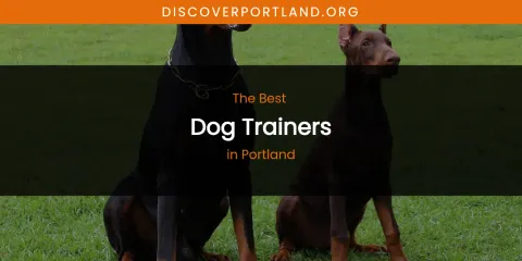 Portland's Best Dog Trainers