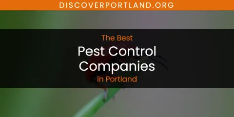 Best Pest Control Companies in Portland: Complete Guide