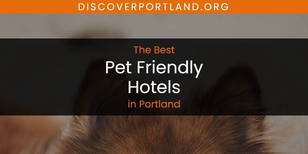 Portland's Best Pet Friendly Hotels [Updated 2025]