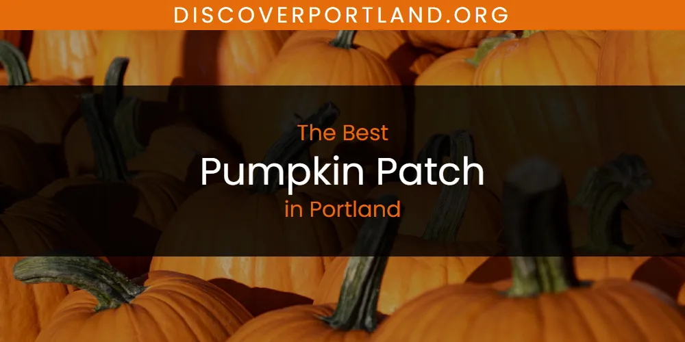 Portland's Best Pumpkin Patch [Updated 2025]