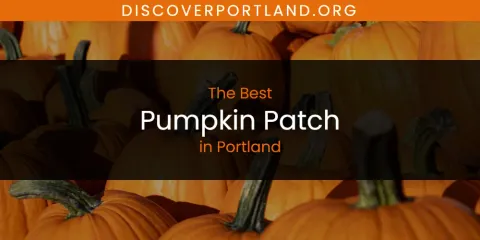 Ranked: Best Pumpkin Patch in Portland