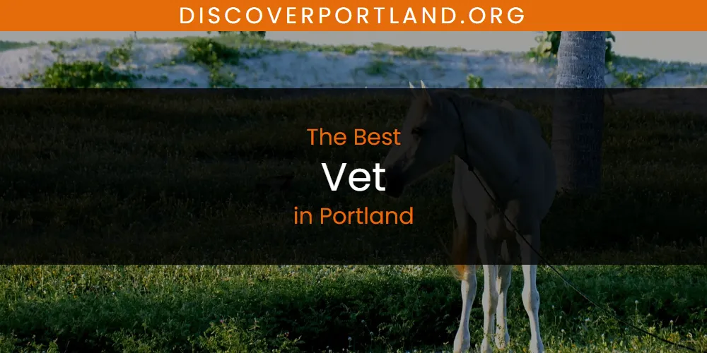 Discover the Best Vet in Portland (2026)