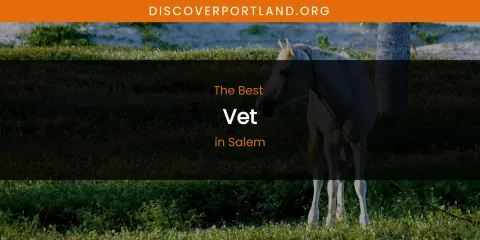 Salem's Best Vet