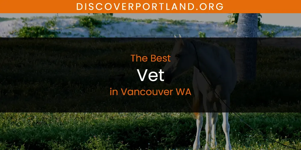 Vancouver WA's Best Vet [Updated 2025]